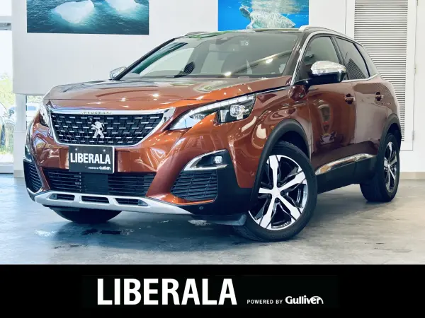 2019 Peugeot 3008 — photo 1