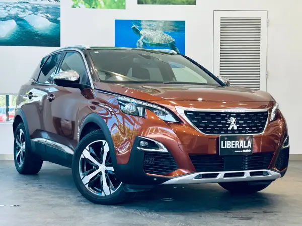 2019 Peugeot 3008 — photo 7 | Tuminion Kenya