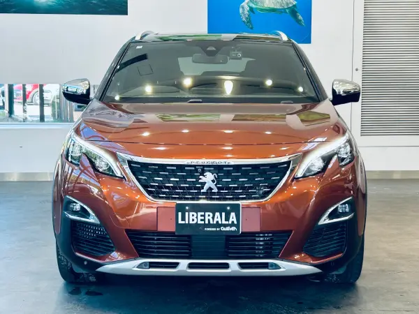2019 Peugeot 3008 — photo 8 | Tuminion Kenya