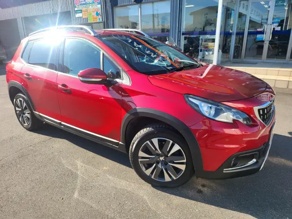 2018 Peugeot 2008 — photo 9 | Tuminion Kenya
