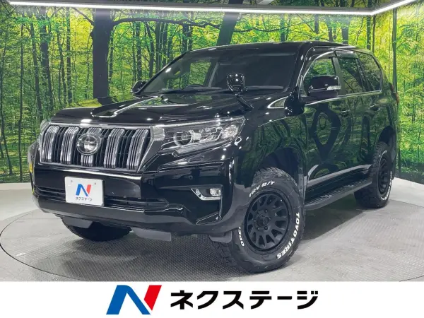 2019 Toyota Landcruiser Prado — photo 1