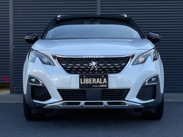 2020 Peugeot 3008 — photo 9 | Tuminion Kenya