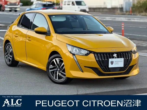 2020 Peugeot 208 — photo 1