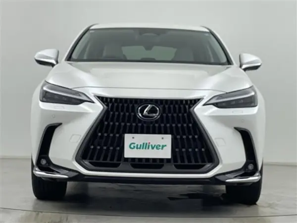 2025 Lexus Nx — photo 9 | Tuminion Kenya