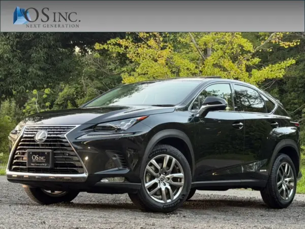 2021 Lexus Nx — photo 1