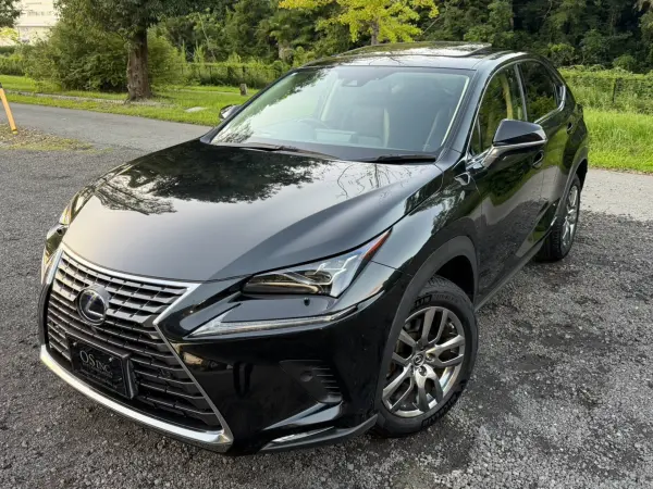 2021 Lexus Nx — photo 8 | Tuminion Kenya