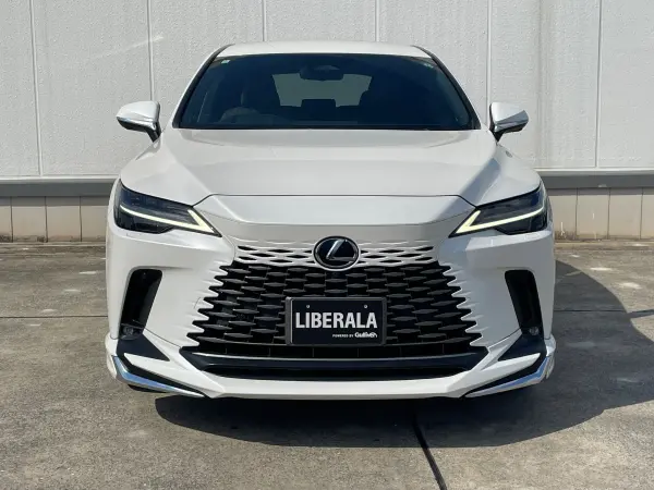 2024 Lexus Rx — photo 8 | Tuminion Kenya
