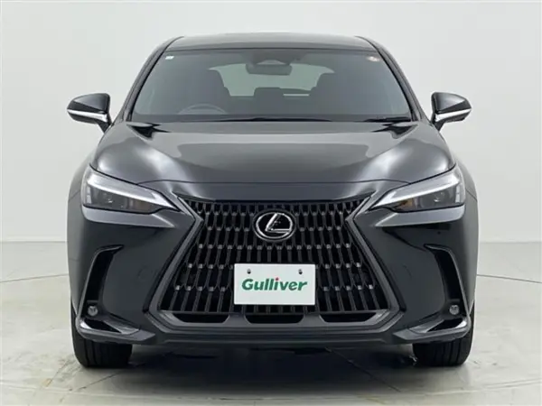 2023 Lexus Nx — photo 9 | Tuminion Kenya