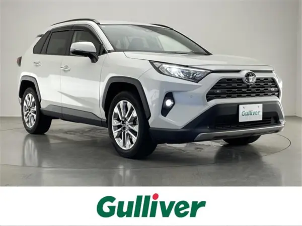 2022 Toyota RAV4 2.0 G Z
