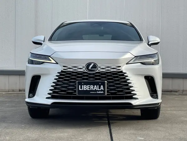 2023 Lexus Rx — photo 8 | Tuminion Kenya
