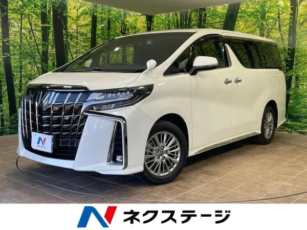 2022 Toyota Alphard — photo 1
