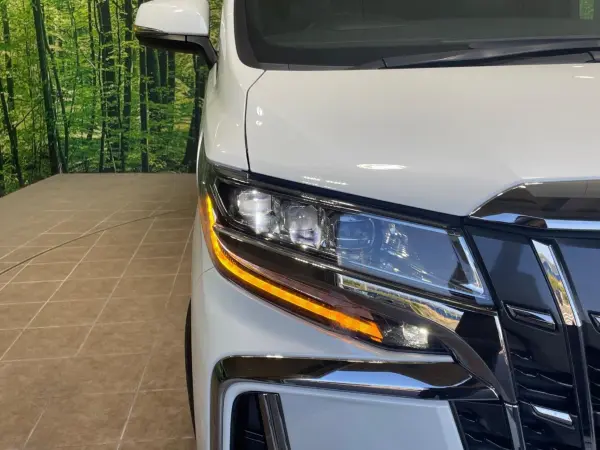 2022 Toyota Alphard — photo 9 | Tuminion Kenya