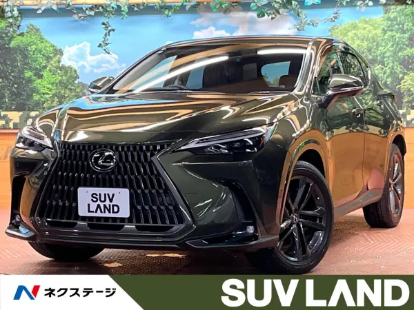 2024 Lexus Nx — photo 1