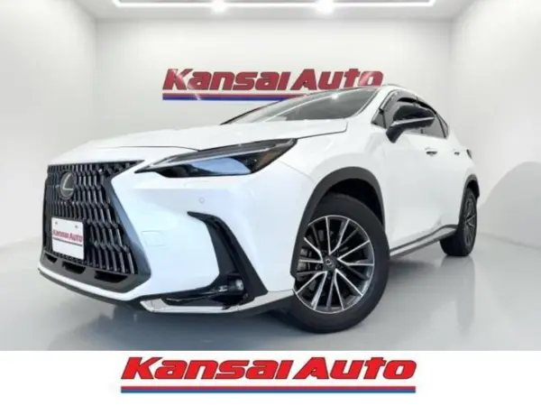 2024 Lexus NX 250