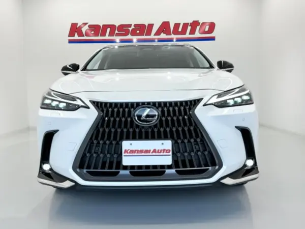 2024 Lexus Nx — photo 2 | Tuminion Kenya