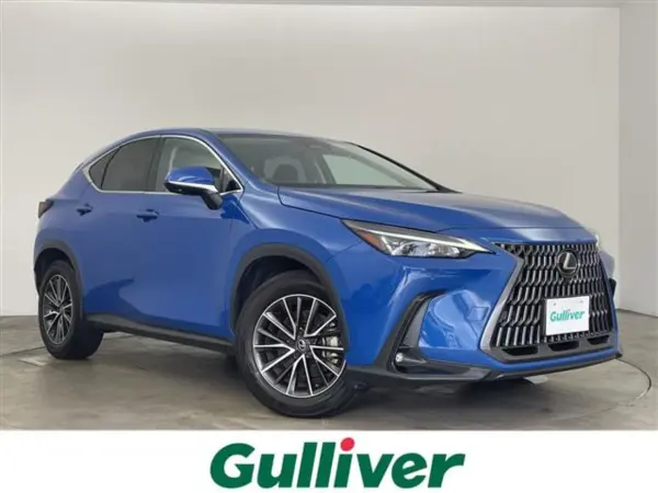 Lexus NX 250 4WD — 2024, 15,000km, for sale in Kenya