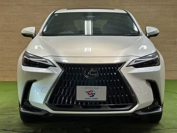 2023 Lexus Nx — photo 8 | Tuminion Kenya