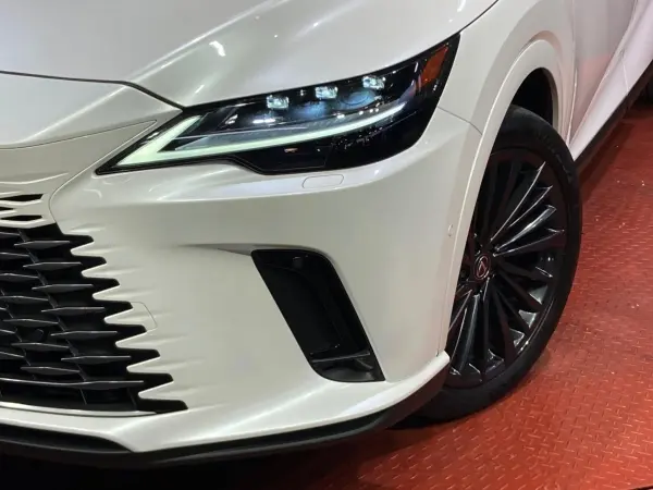 2024 Lexus Rx — photo 8 | Tuminion Kenya