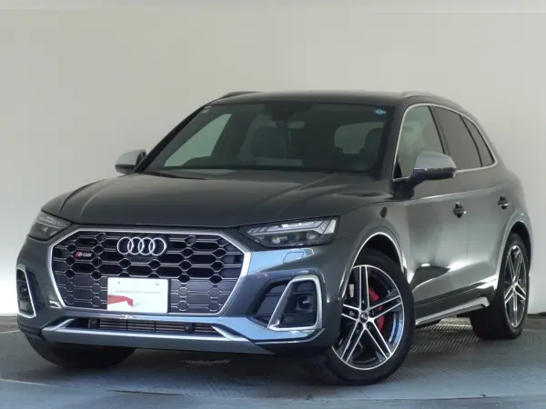 2022 Audi Sq5 — photo 1