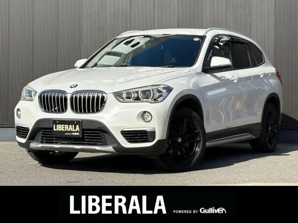 2018 Bmw X1 — photo 1
