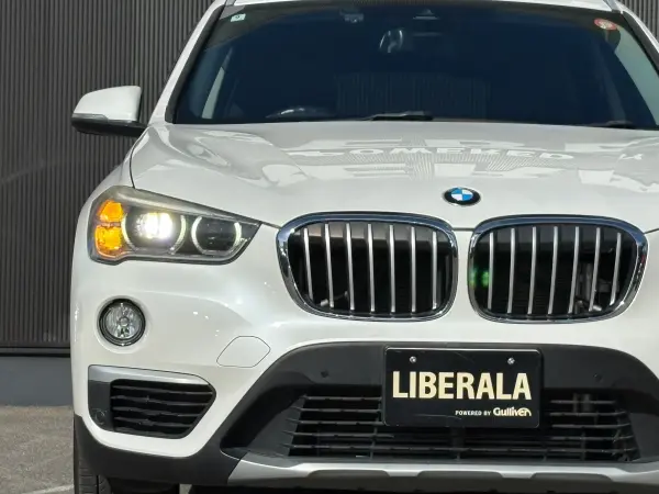 2018 Bmw X1 — photo 8 | Tuminion Kenya