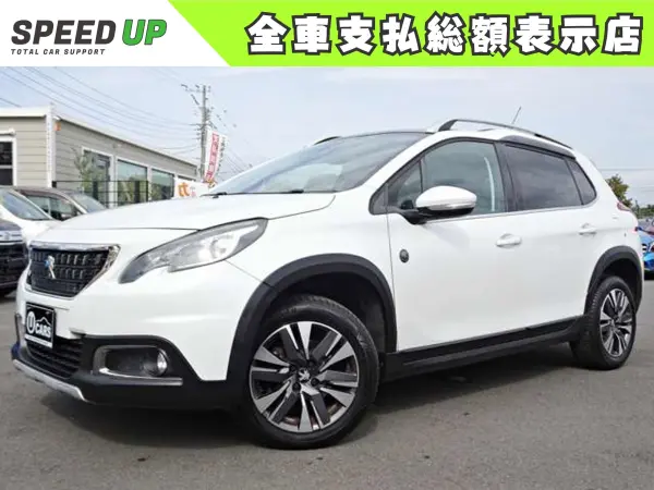 2018 Peugeot 2008 — photo 1