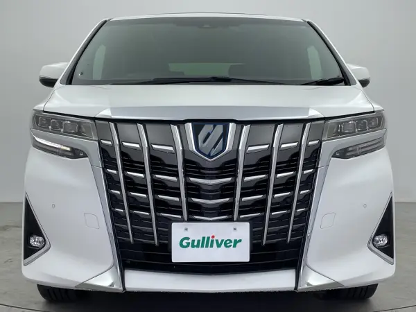 2020 Toyota Alphard — photo 8 | Tuminion Kenya
