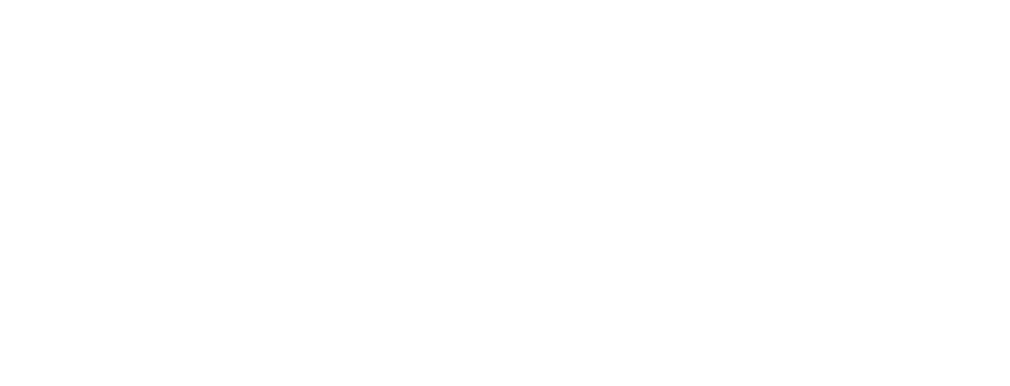 Naomis Village logo
